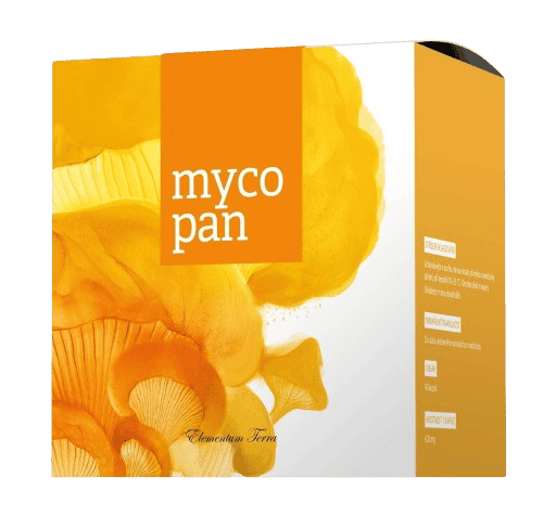 Energy Mycopan