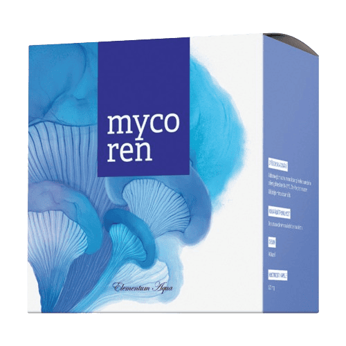 Energy Mycoren