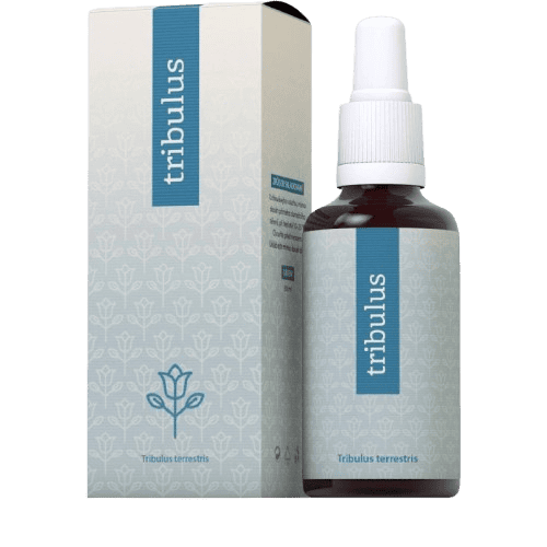 Energy Tribulus terrestris